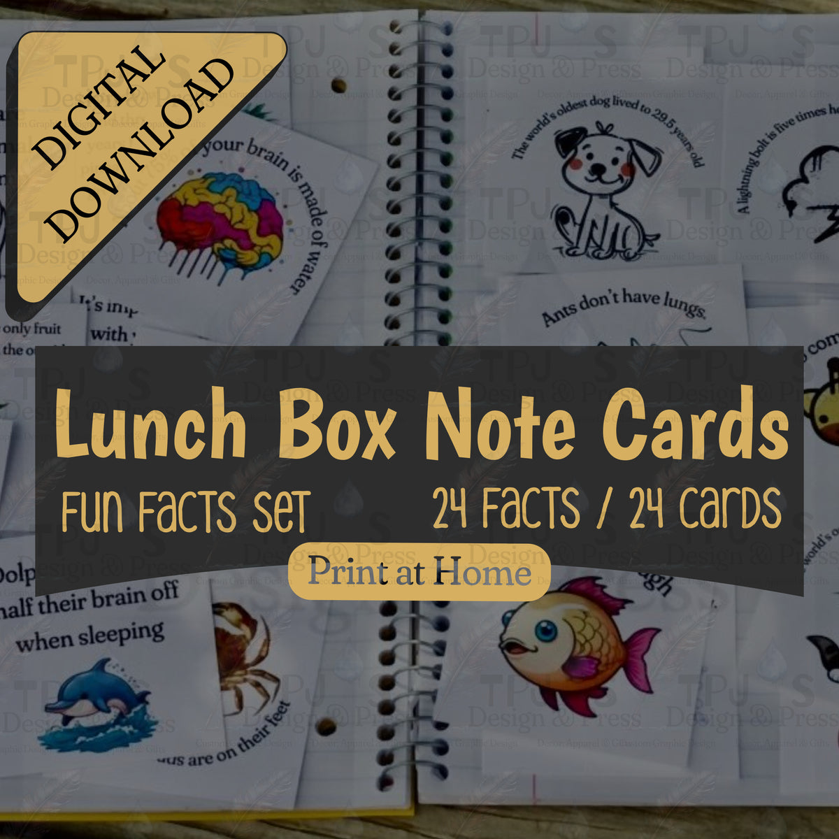 Printable Lunch Box Notes for Kids – 24 Fun Facts