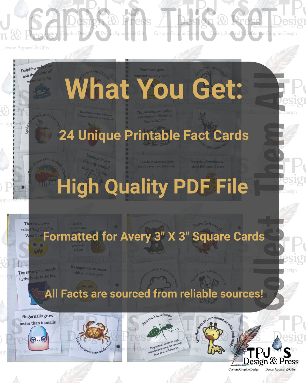 Printable Lunch Box Notes for Kids – 24 Fun Facts