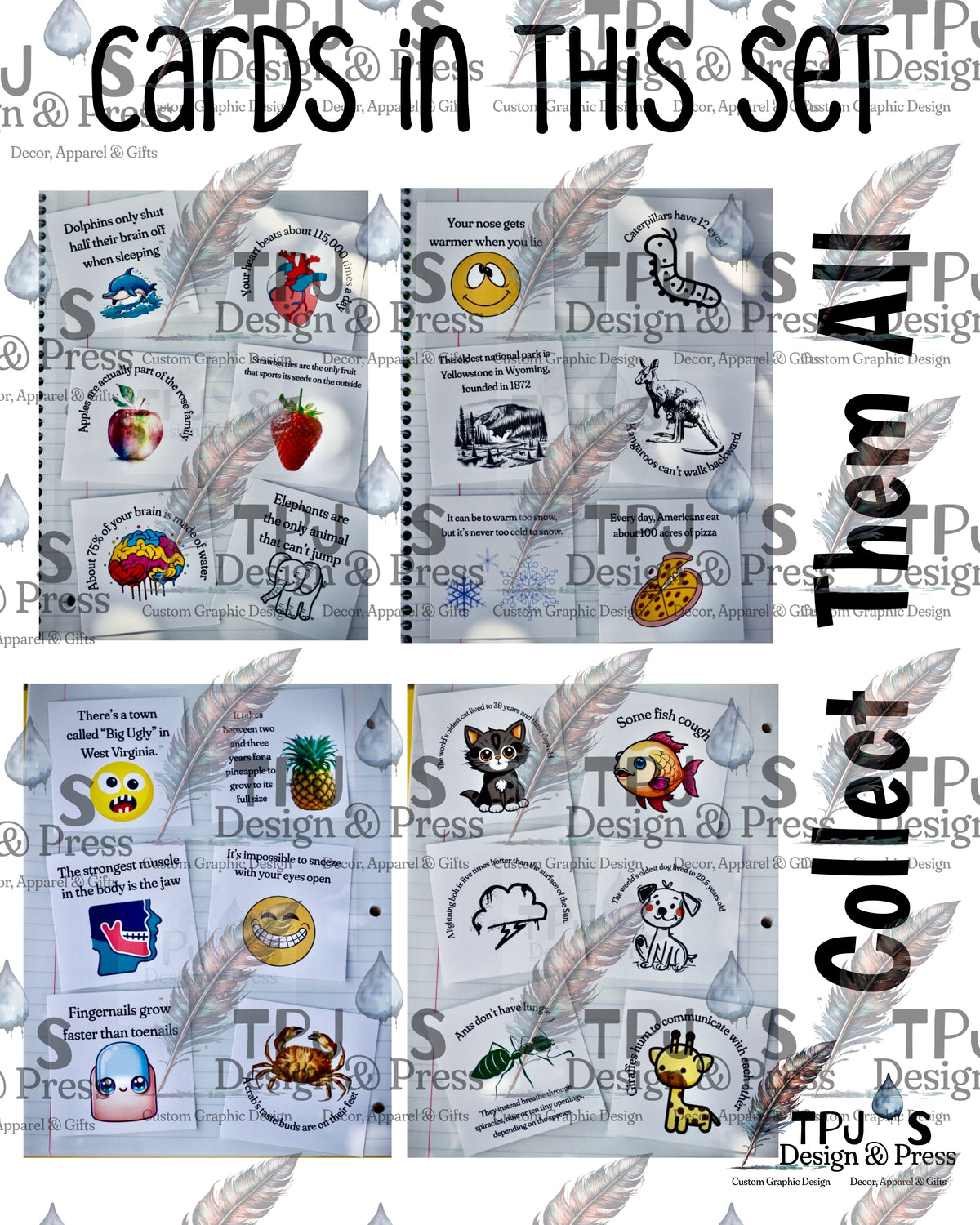 Printable Lunch Box Notes for Kids – 24 Fun Facts